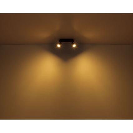 Globo - Kohtvalgusti 2xGU10/35W/230V must
