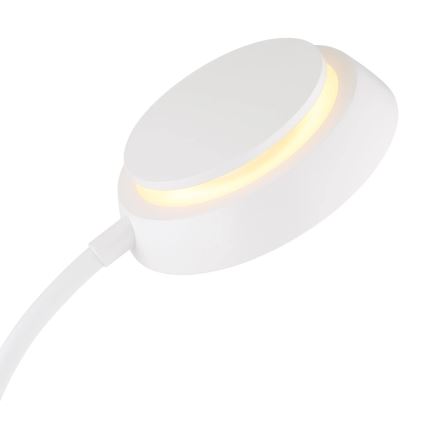 Globo - LED puutetundlik hämardatav laualamp LED/12W/230V 3000/4000/6500K valge