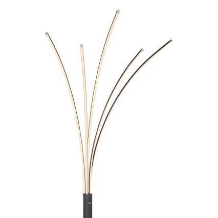 Globo - hämardatav puutetundlik põrandalamp LED/36W/230V must