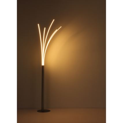 Globo - LED hämardatav puudutusega põrandalamp LED/36W/230V