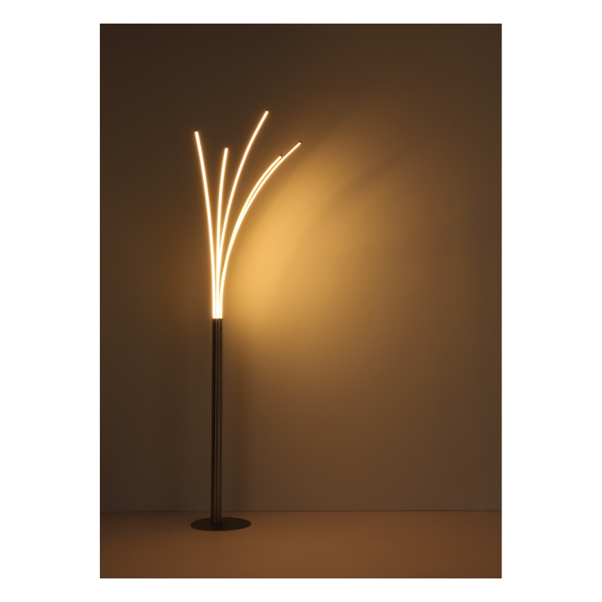 Globo - LED hämardatav puudutusega põrandalamp LED/36W/230V