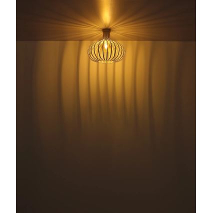 Globo - Laelamp 1xE27/40W/230V