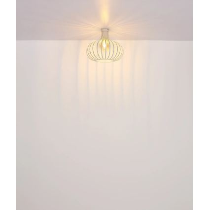 Globo - Laelamp 1xE27/40W/230V