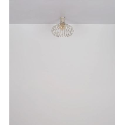 Globo - Laelamp 1xE27/40W/230V