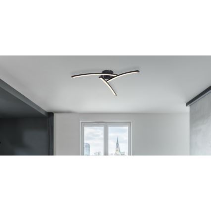 Globo - LED Pinnale kinnitatav lühter 3xLED/6W/230V 3000/4000/6000K