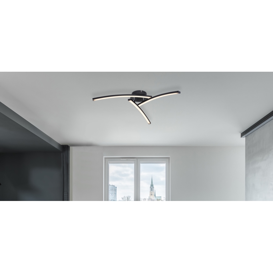 Globo - LED Pinnale kinnitatav lühter 3xLED/6W/230V 3000/4000/6000K