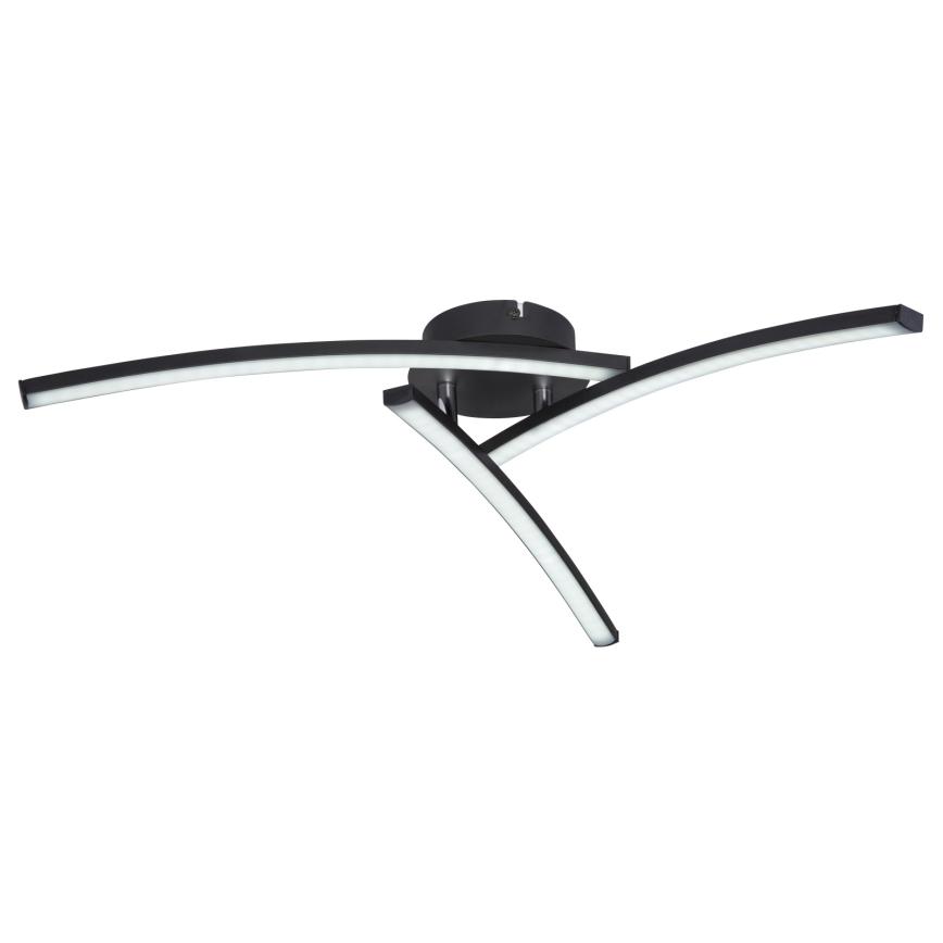 Globo - LED Pinnale kinnitatav lühter 3xLED/6W/230V 3000/4000/6000K