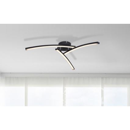 Globo - LED Pinnale kinnitatav lühter 3xLED/6W/230V 3000/4000/6000K