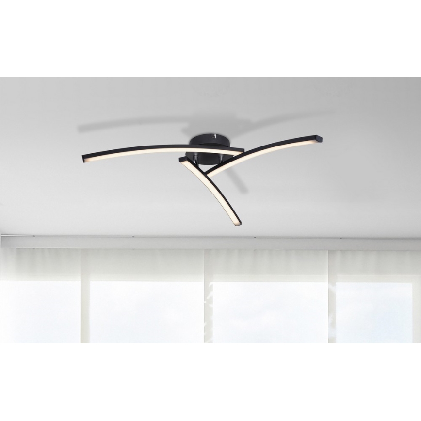 Globo - LED Pinnale kinnitatav lühter 3xLED/6W/230V 3000/4000/6000K