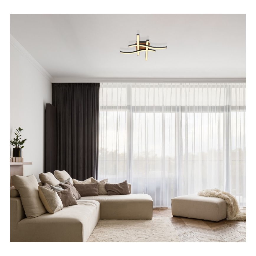 Globo - LED Pinnale kinnitatav lühter 4xLED/5W/230V