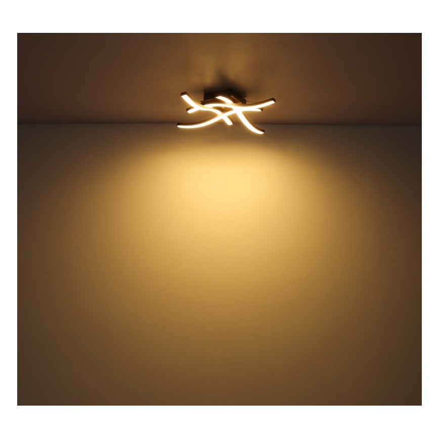 Globo - LED Pinnale kinnitatav lühter 4xLED/5W/230V