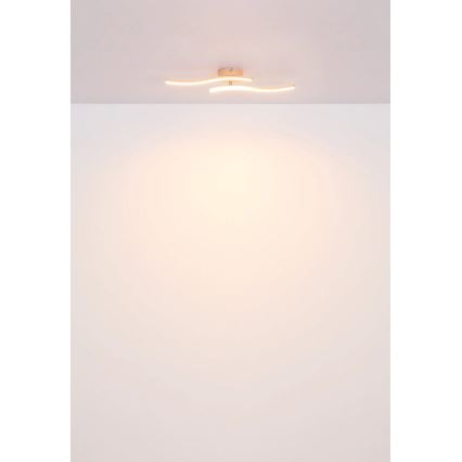 Globo - LED Pinnale kinnitatav lühter LED/12W/230V 3000K oranž