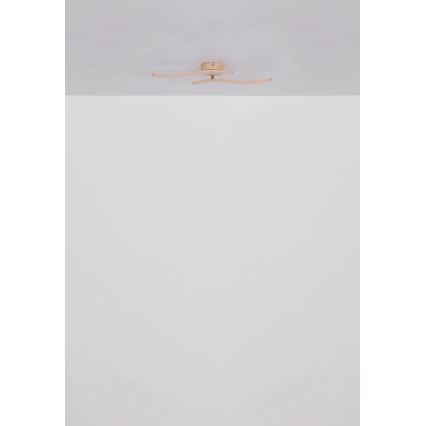 Globo - LED Pinnale kinnitatav lühter LED/12W/230V 3000K oranž