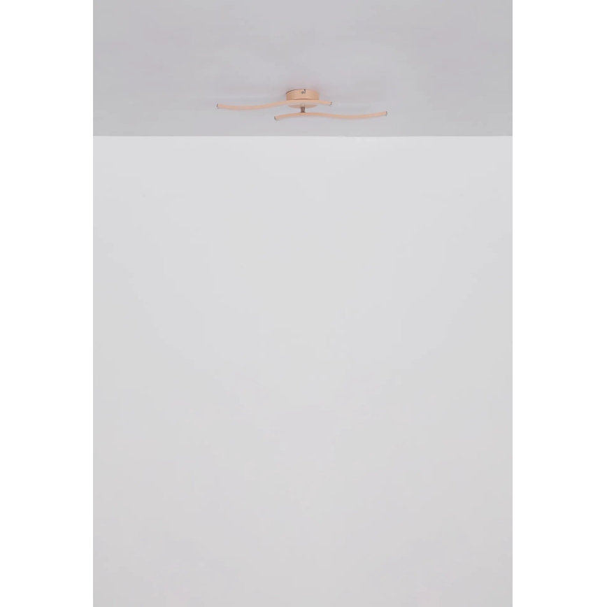 Globo - LED Pinnale kinnitatav lühter LED/12W/230V 3000K oranž