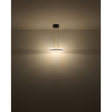 Globo - LED Lühter LED/40W/230V 3000/4000/6000K d. 39,7 cm pruun