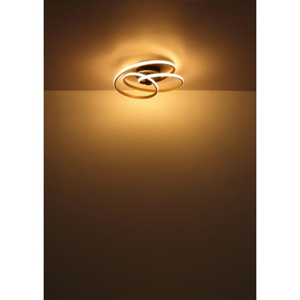Globo - LED Pinnale kinnitatav lühter LED/40W/230V 3000K kuldne/must