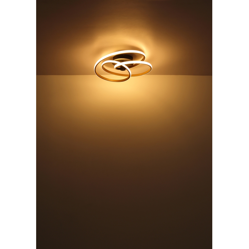 Globo - LED Pinnale kinnitatav lühter LED/40W/230V 3000K kuldne/must