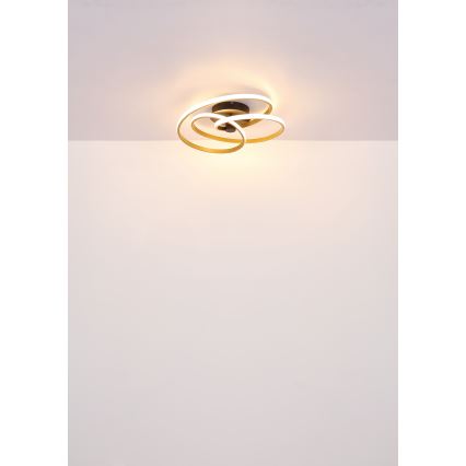 Globo - LED Pinnale kinnitatav lühter LED/40W/230V 3000K kuldne/must