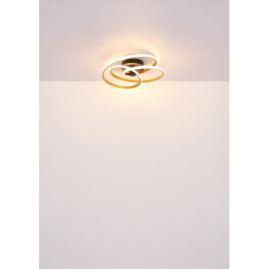 Globo - LED Pinnale kinnitatav lühter LED/40W/230V 3000K kuldne/must