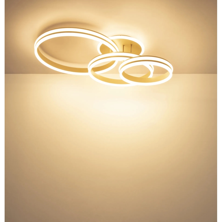 Globo - Hämardatav LED-laelamp LED/72W/230V 3000K 79,5x50 cm