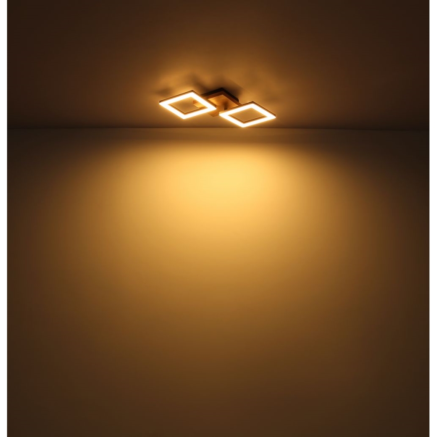 Globo - LED Pinnale kinnitatav lühter LED/30W/230V