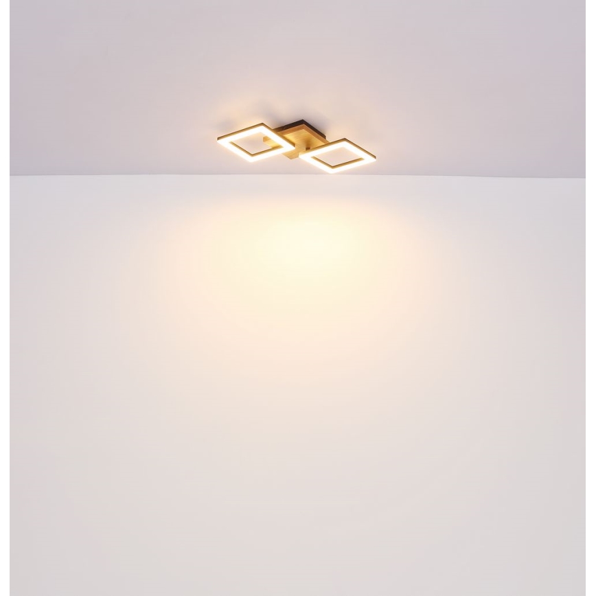 Globo - LED Pinnale kinnitatav lühter LED/30W/230V