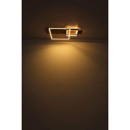 Globo 67289D1 - LED laevalgusti VANNI LED/24W/230V 40x75 cm pruun/must
