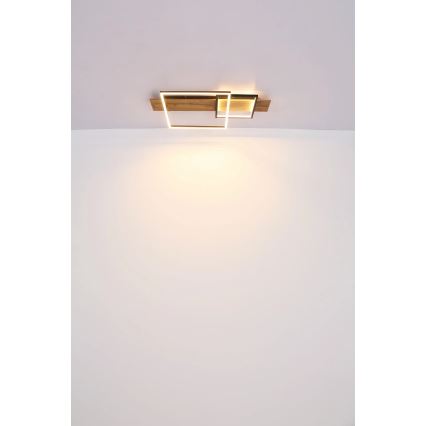 Globo 67289D1 - LED laevalgusti VANNI LED/24W/230V 40x75 cm pruun/must
