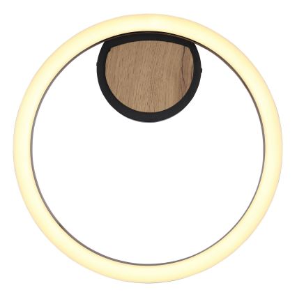 Globo - LED Laevalgusti LED/12W/230V