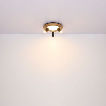 Globo - LED Kohtvalgusti 3xGU10/5W/230V + LED/15W/230V