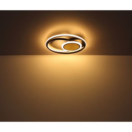 Globo - LED Laevalgusti LED/24W/230V
