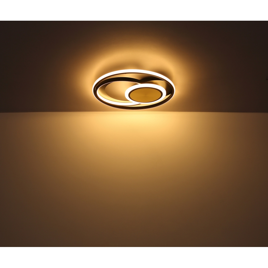 Globo - LED Laevalgusti LED/24W/230V