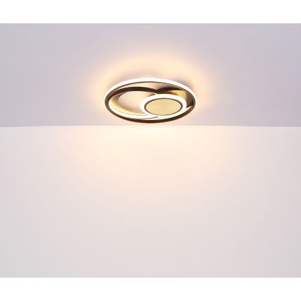 Globo - LED Laevalgusti LED/24W/230V