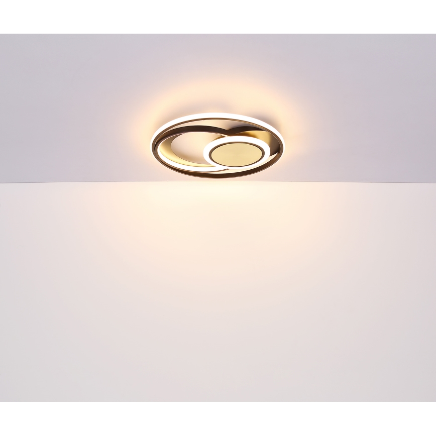 Globo - LED Laevalgusti LED/24W/230V