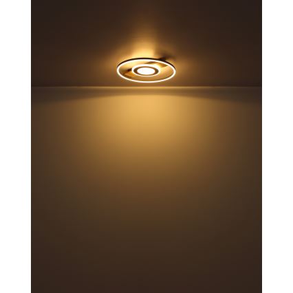 Globo - LED Laevalgusti LED/24W/230V