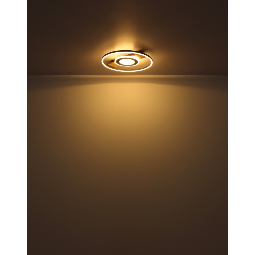 Globo - LED Laevalgusti LED/24W/230V