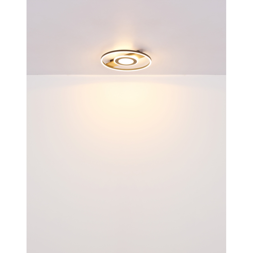 Globo - LED Laevalgusti LED/24W/230V