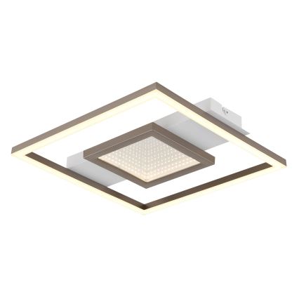 Globo - LED laelamp LED/18W/230V 3000K 35x33 cm