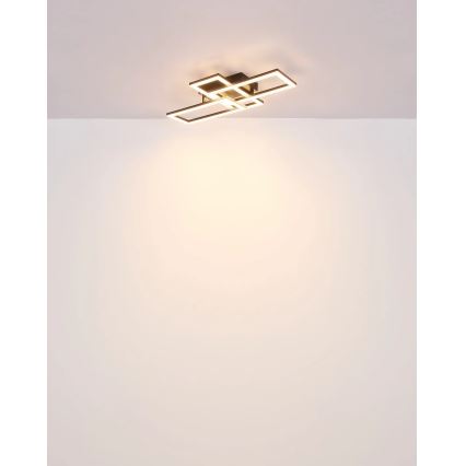 Globo - LED Laevalgusti LED/24W/230V
