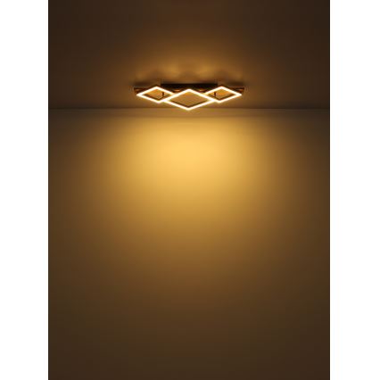 Globo - LED Laevalgusti LED/24W/230V