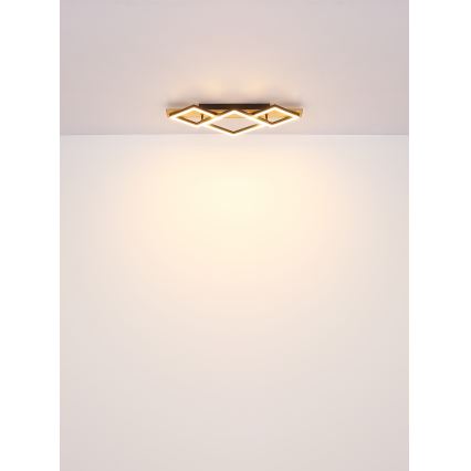 Globo - LED Laevalgusti LED/24W/230V