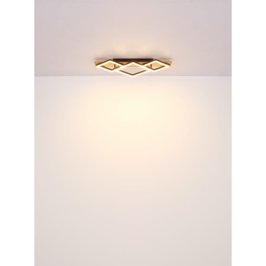 Globo - LED Laevalgusti LED/24W/230V