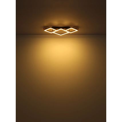 Globo - LED Laevalgusti LED/24W/230V