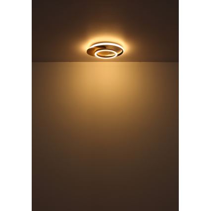 Globo - LED Laevalgusti LED/24W/230V must
