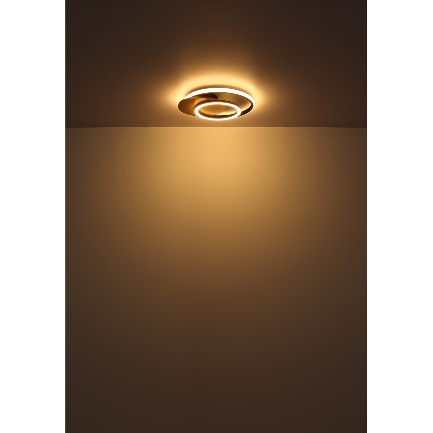 Globo - LED Laevalgusti LED/24W/230V must
