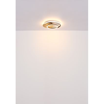Globo - LED Laevalgusti LED/24W/230V must