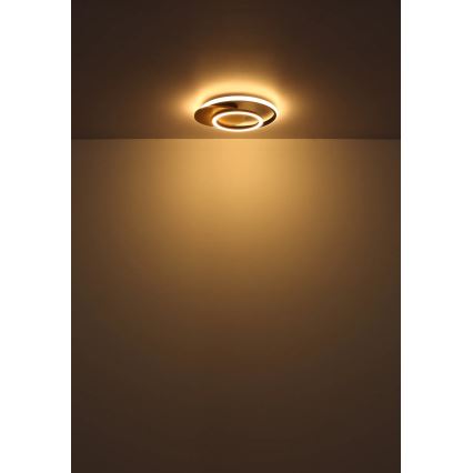 Globo - LED Laevalgusti LED/24W/230V