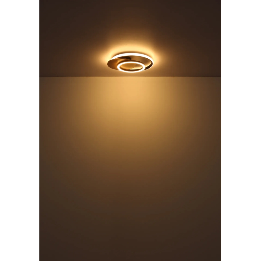 Globo - LED Laevalgusti LED/24W/230V