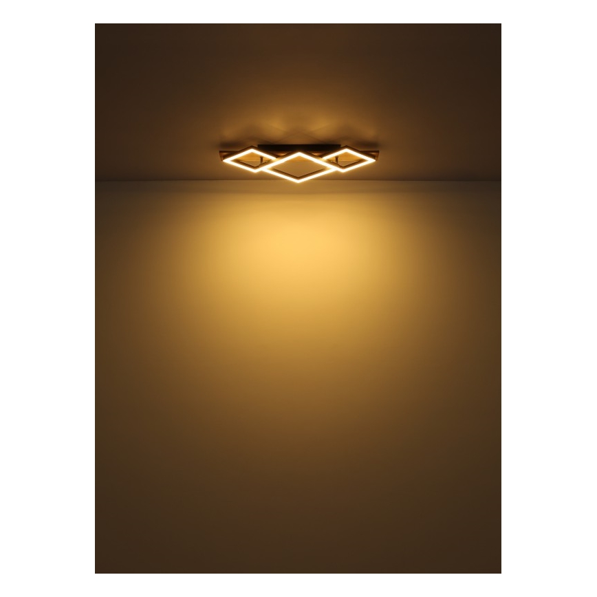 Globo - LED laevalgusti LED/24W/230V + LED/8W 3000K 31x61cm