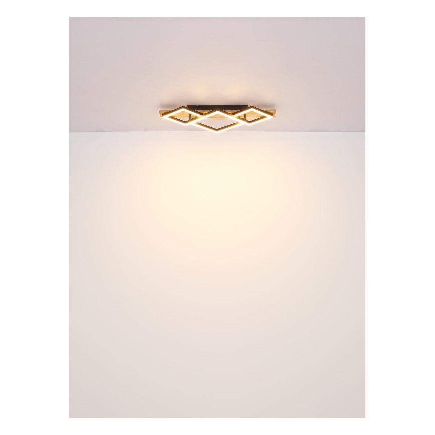 Globo - LED laevalgusti LED/24W/230V + LED/8W 3000K 31x61cm